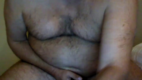 bigbear5186  13-08-2022